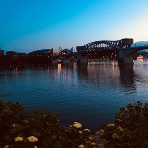 Meet your Posher, Audrey